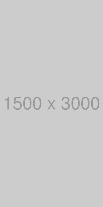 こだわりポイント 写真